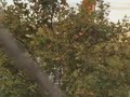 2018-04-16 21:07:51