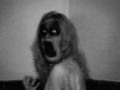 10 historias de terror en dos líneas, ¿te atreves a leerlas? #Venezuela #Mexico #Argentina #Ustralia #Ecuador #EEUU