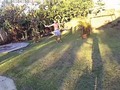 📷Probando/ Go-pro 4k full HD (bajo el agua🐟): vía YouTube