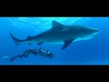 Mandalay Bay’s Shark Reef Aquarium gets a VR theater via LasVegasSun bryanhorwath Immotion_Group