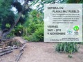 ¡Este viernes hay SIEMBRA! Te esperamos en la CoalicionPPP para iniciar una nueva fase de reforestación. Trae tod…