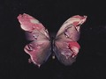 Me gustó un video de YouTube Before You Exit - Silence (Official Audio)