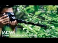 Me gustó un video de YouTube Revolutionize Macro Videography: Laowa 24mm f/14 Probe Lens