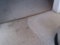 The Benefits of Eco-Friendly Carpet Cleaning! - DAK