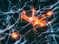 Scientists have identified the subtype of brain cells that die in Parkinson's disease #neurology #Parkinsons