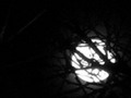 Full Moons - Poem