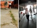 El #TratamientoRodriguero para la infosura en caballo de equitación con la tercera falange afuera del casco en Mont…
