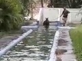 Uegua Jamsa INH La Rinconada Ccs Venezuela en la piscina recuperación de condiciones musculares. La veremos correr…