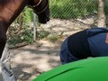 Hoy en el HarasSanRemo herrando al padrillo Olimpic. Está muy recuperado y hermoso. #TratamientoRodriguero…