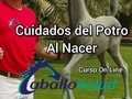 Curso On Line Caballosalud Inscríbete ya Dr. Carlos Federico Rodríguez Garantón WhatsAp…