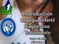 Dr. Carlos Federico Rodríguez Garantón WhatsApp +584143227748 Curso On Line La Yegua Infe…