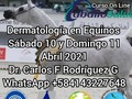 #CaballosaludCreeEnDios amén Unesurvet17 unesurvetz1 ReveteOscar unesurvet43…