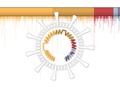 🤔 Asà muta y se propaga el coronavirus