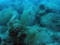 6 Latest #Shipwrecks Found Around the World By Smita Singla | #MaritimeHistory | Last Updated on December 12, 2019…