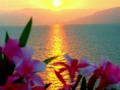 eretzyisrael: Boker Tov! Sea of Galilee- Tiberias, Israel ~ FLW #Tumblr #blog