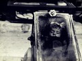 📷 The 7 Strangest Graves and Burial Sites from Around the World ~ That glass coffin breaks my heart.
