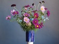 📷 10 Overlooked Summer Flowers – Design*Sponge