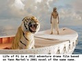 📷 In 2012 Suraj Sharma Made His Acting Debut as Pi – Article Writing Jobs #LifeOfPi #movies #fantasy #adventure