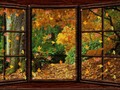 📷 Happy autumn!