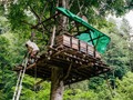 📷 Have a Look at the Fabled Honey Forest - The New York Times