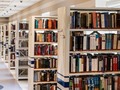 📷 Four (4) Recommended Authors of Books Written for Young Adults