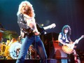 📷 The Eternal Revenue Stream of Led Zeppelin #popmusic #musiclegends