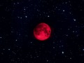 📷 lematworks: Produced by LEMAT WORKS 🌕 Lemat Moon 1 2 3 4 5 6 7 8 9 10 11 12 / instagram🌟 🌗