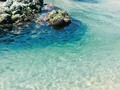 📷 Clear water is always irresistible.