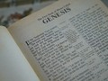 Bible Study: The Major Themes of Genesis on bloglovin