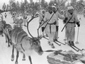 Title: A Finnish Reindeer battalion on the march. Jäniskoski, Finland, 20 February 1940. [515 x 329]