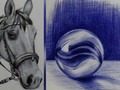 Introduction to Ballpoint Pen Drawing | Udemy #art #artists