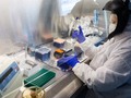 📷 Opinion | Ancient DNA Is Changing How We Think About the Caribbean - The New York Times
