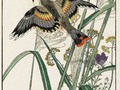 Pampas Grass, Gentian and Eastern Waxwing by Keinen Imao (今尾景年, 1845-1924) included in... #artists #artistsIfancy