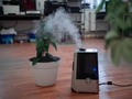 📷 Why Is It So Dry In My House In the Winter? | Go Green Heating and Cooling
