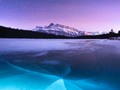 “Life beneath the snow“ by | Joey Mackin Fabulous #photography found on Tumblr ...