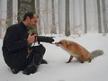 I heart foxes!
