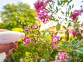 📷 10 Ways You Should Be Using Vinegar in Your Garden