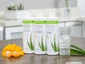 ¡Bríndale un toque de frescura a tu nutrición diaria con nuestro #HerbalAloeConcentrado! Bajo en calorías y en deli…