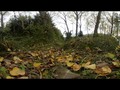 Vr 4k Video 360º - Bosque Mágico - Colores del Ser.: vía YouTube