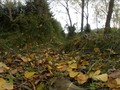 Vr 4k Video 360º Bosque Mágico Colores del Ser.: vía YouTube