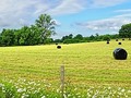 Panorama of Rural Sussex by Stephen Frost