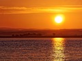 Misty Sunrise over Moray Firth by Steve