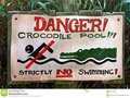 Crocodile Pool No Swimming Sign Stock Photo - Image: 51725253