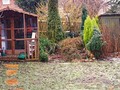 Late January Garden Today: a bleak late January day with minor snow flurry. The garden doesn't photograph...