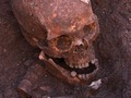 Scientists confirm that the Justinianic Plague was caused by the bacterium Yersinia pestis