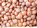 A close-up image of brown lentils. #food #background #bean #brown #Dreamstime #photography