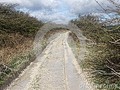 A right of way in an area of chalk land, South Downs in England changed by rain into plaster. #area #boggy #chalk