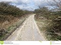A right of way in an area of chalk land, South Downs in England changed by rain into plaster. #area #boggy #chalk