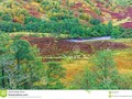 Glen Nevis is a valley at the foot of Ben Nevis range .#photography #250pxrtg #Scotland #Dreamstime #photography