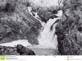 Rogie Falls are on the Black Water, in the Highlands of #Scotland. #250pxrtg #photography #aqueous #black #branch